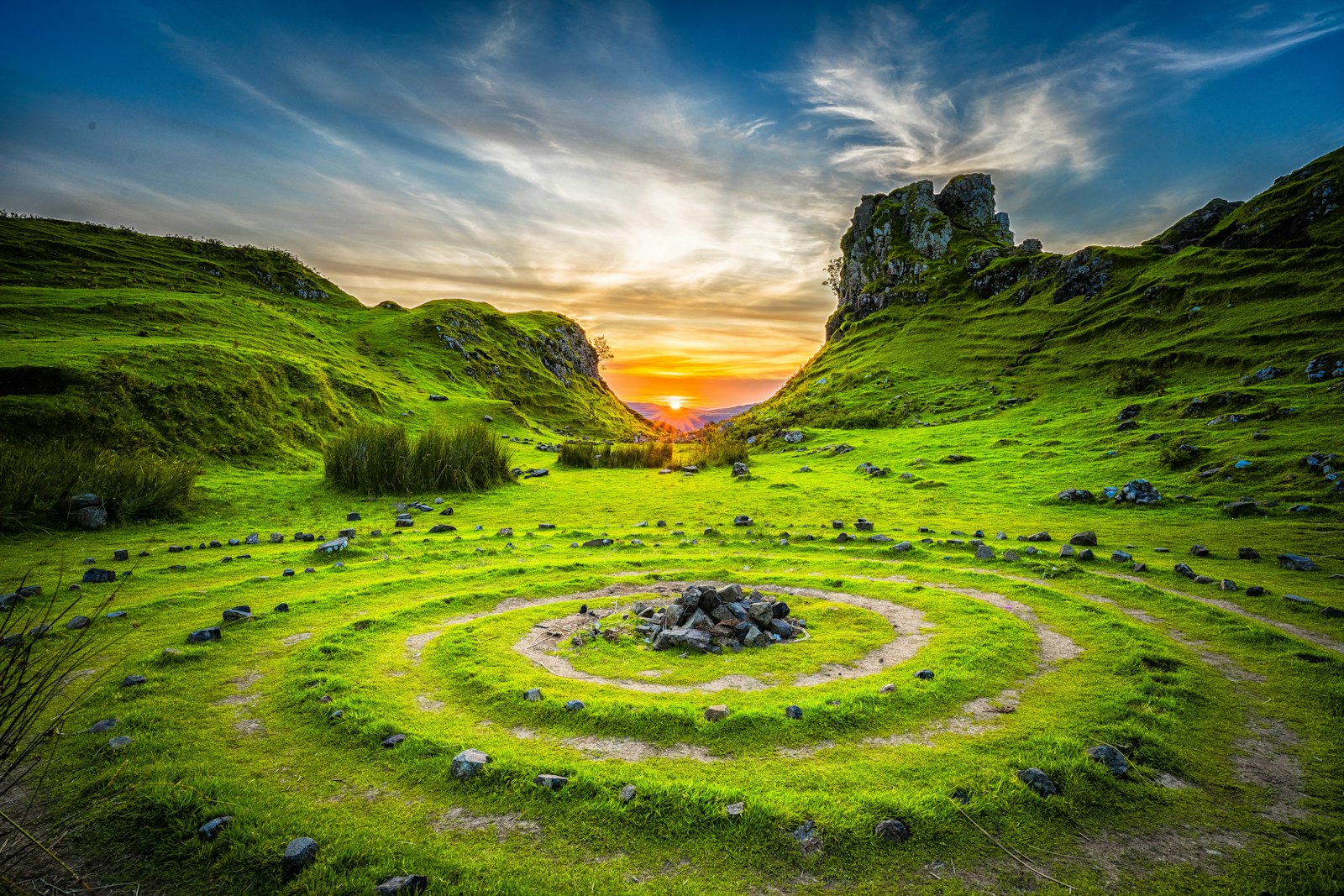 Open green meadow with trees and morning light